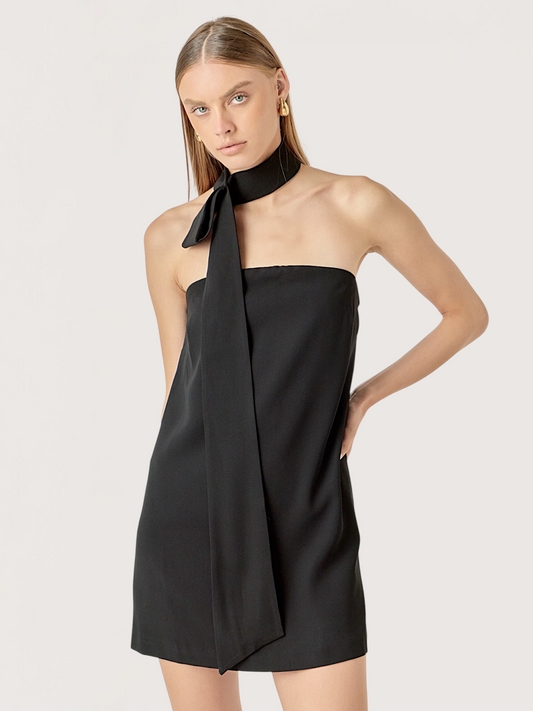 Beatrice Scarf Mini Dress