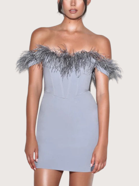 Feather Trim Corset Dress