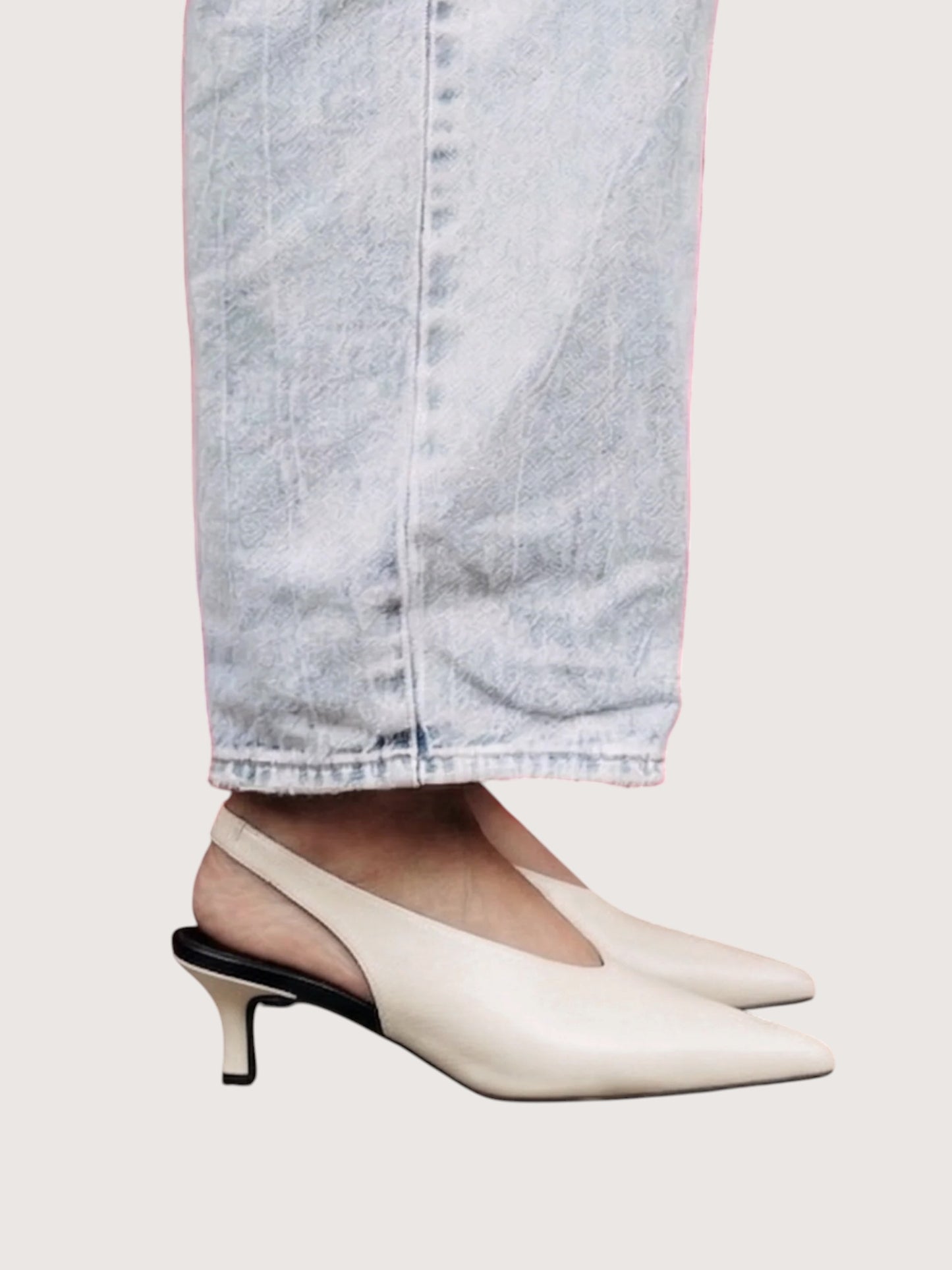Alix Pointed Toe Slingback