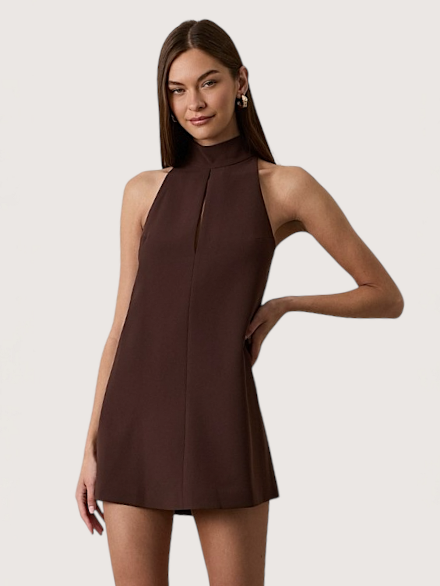 High Neck Mini Dress | Brown