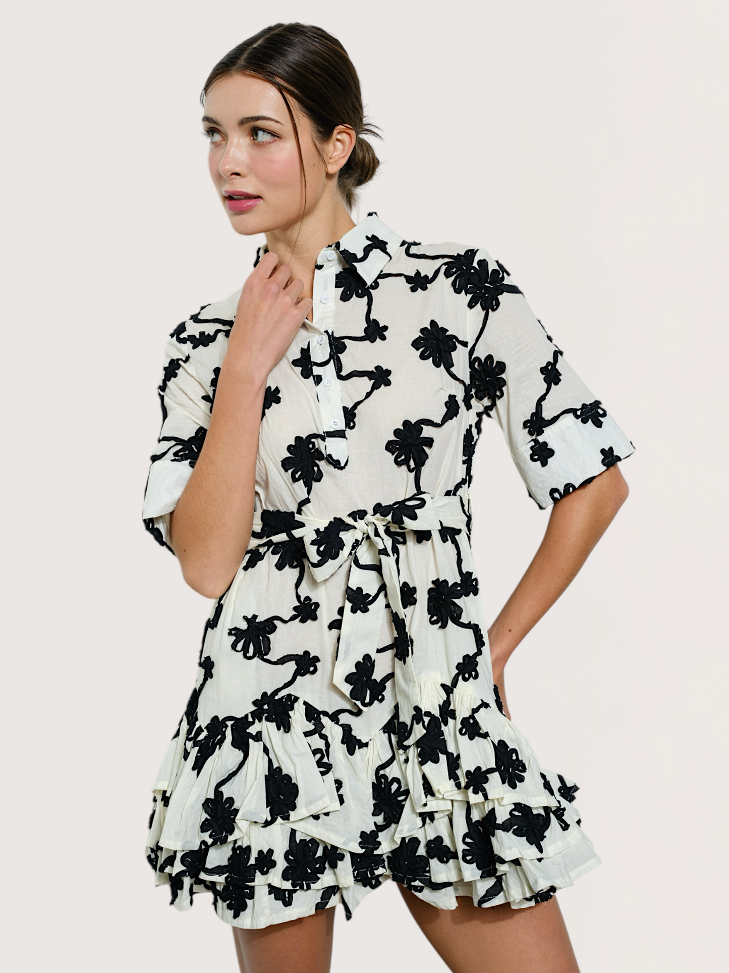 Embroidered Shirt Dress