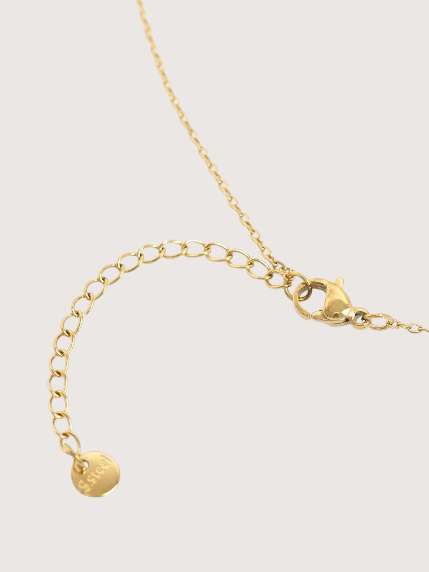 Oval Charm Necklace