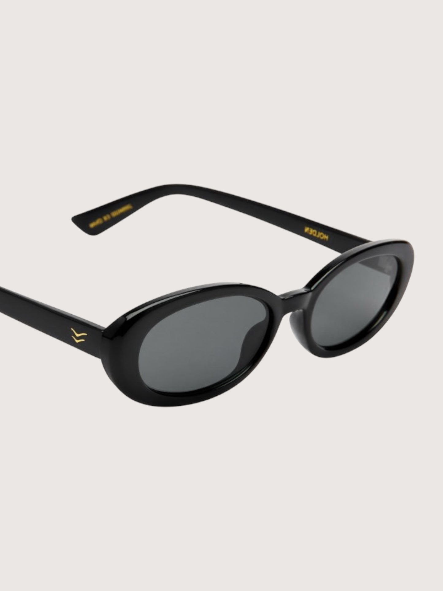 Holden Sunglasses | Black