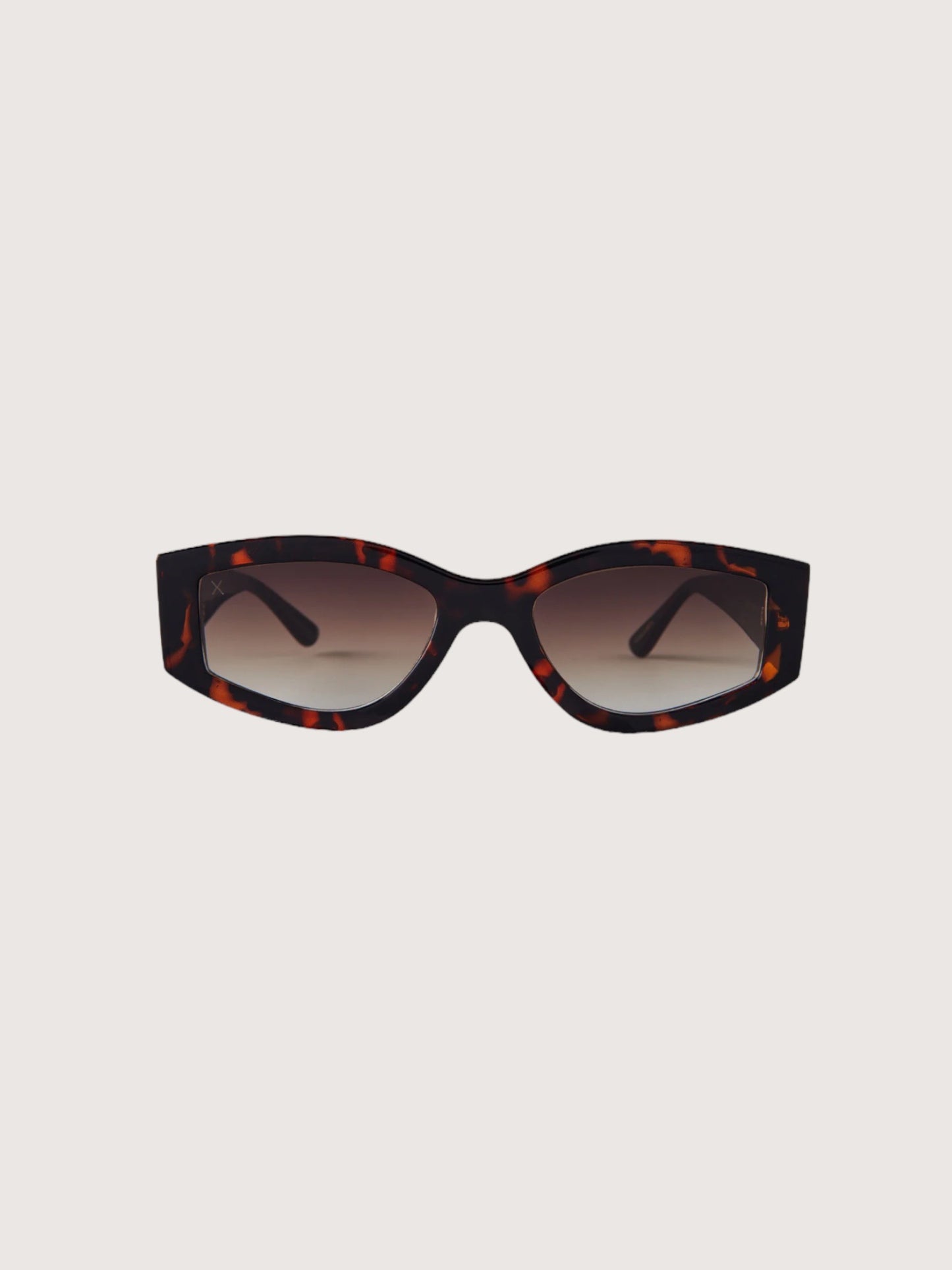 Robertson Sunglasses | Tortoise