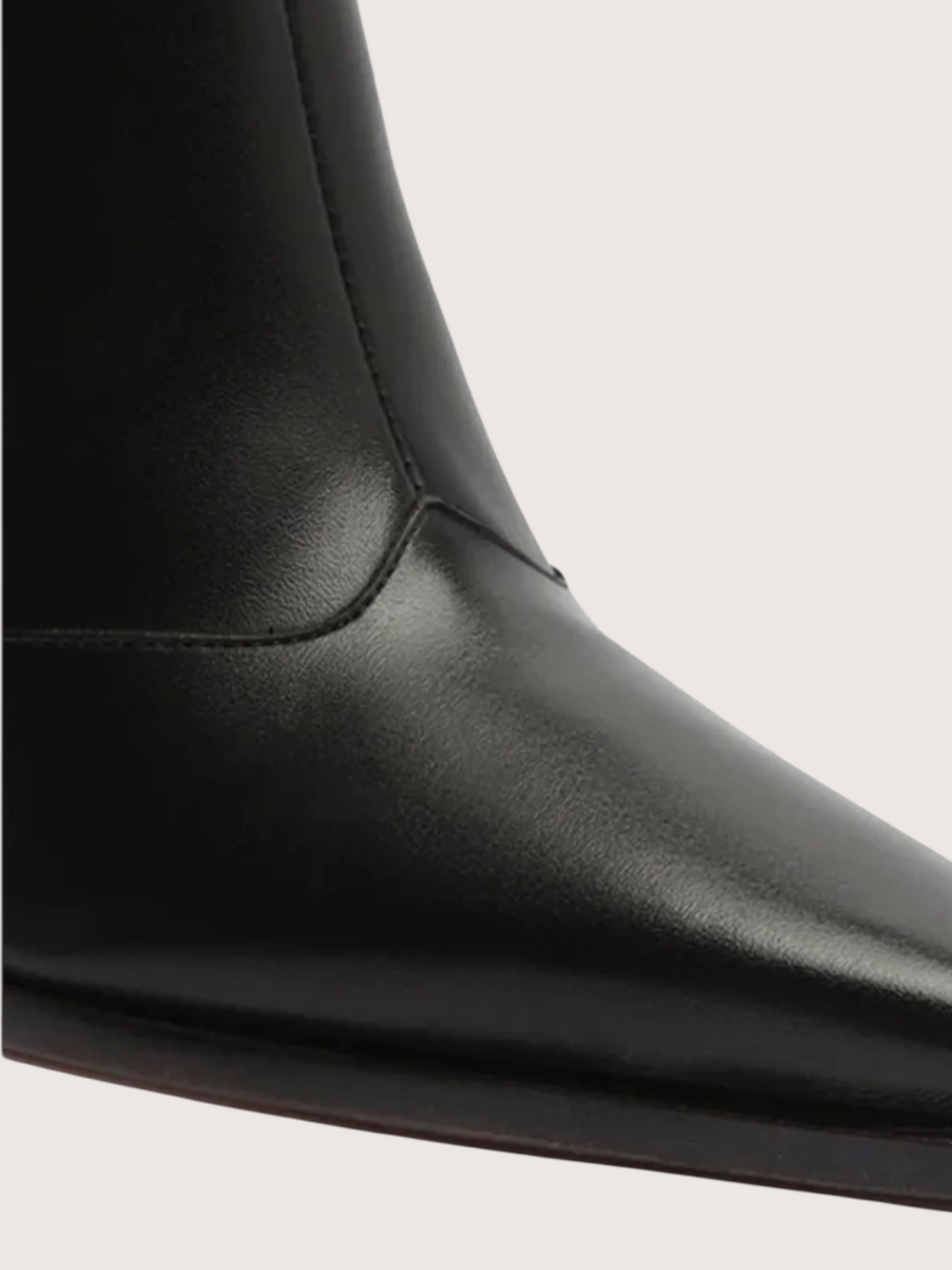 Raffaela Pointed Toe Boot