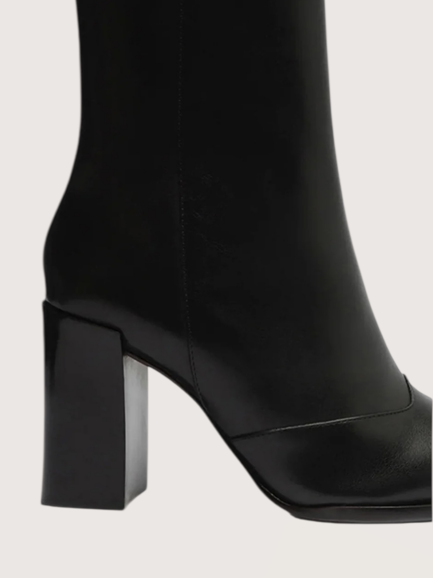 Raffaela Pointed Toe Boot
