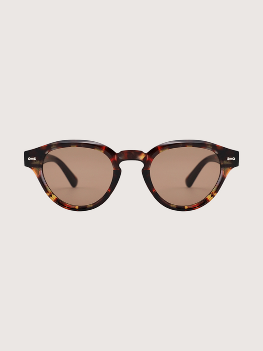 Stella Sunglasses | Tortoise