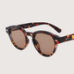 Stella Sunglasses | Tortoise