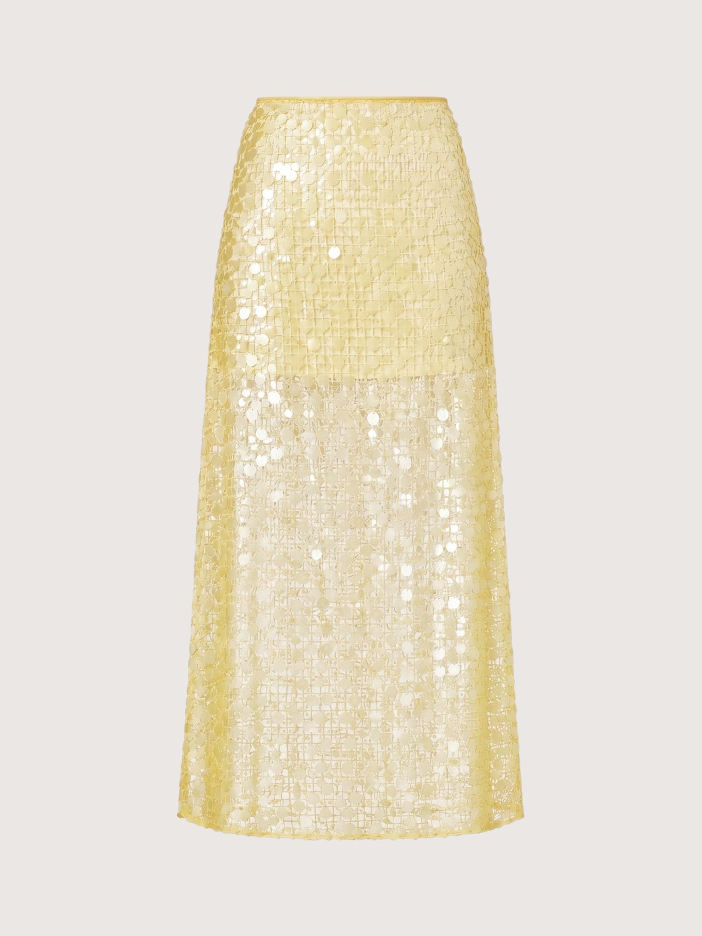 Sequin Mesh Maxi Skirt