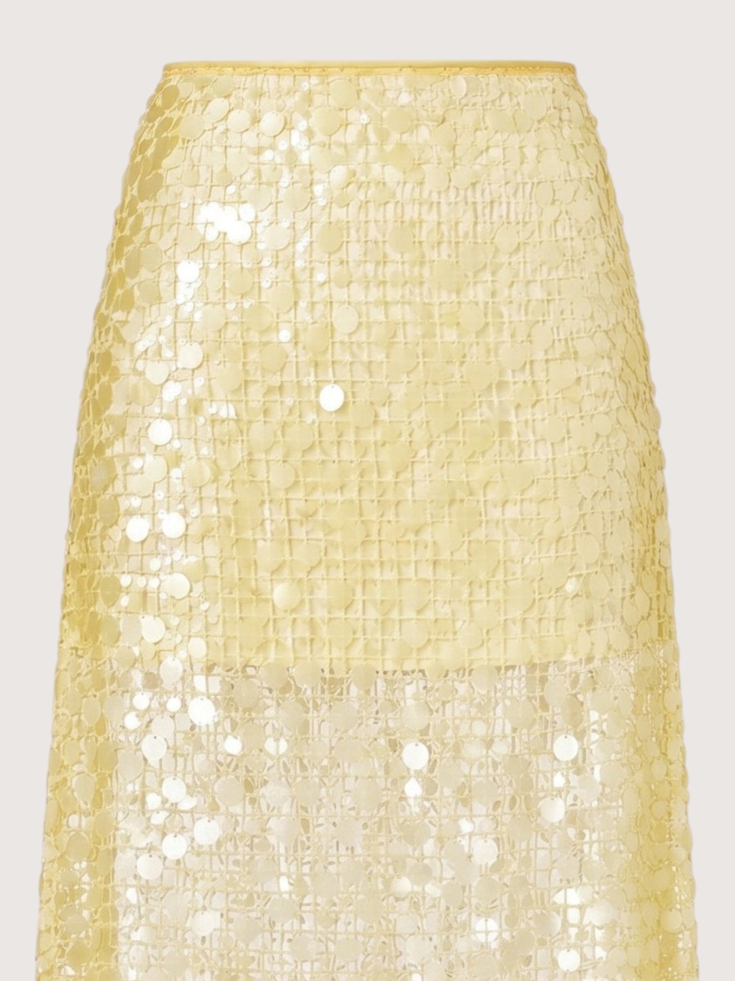 Sequin Mesh Maxi Skirt