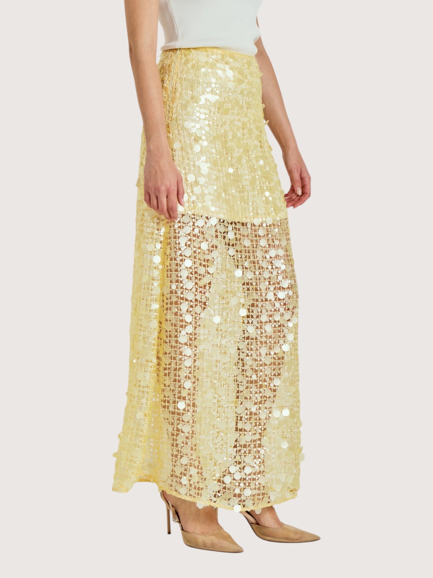 Sequin Mesh Maxi Skirt