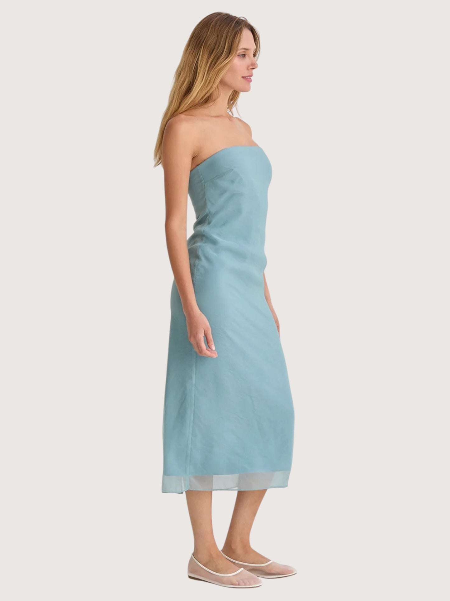 Zoe Organza Midi Dress