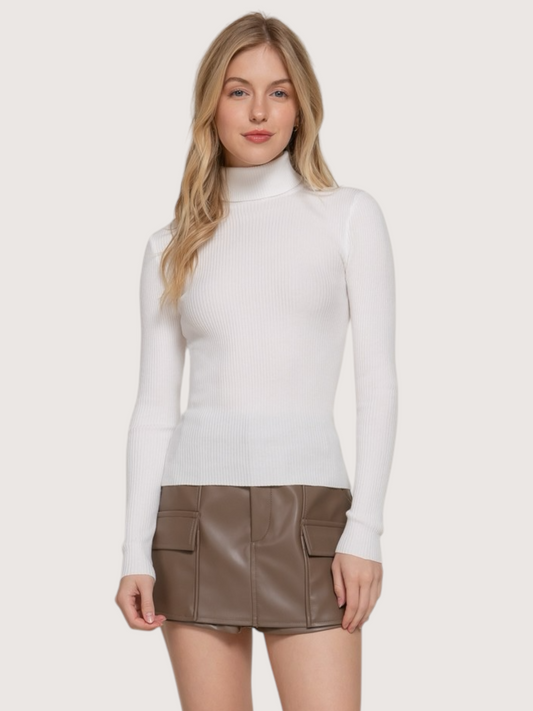 Ribbed Knit Turtleneck