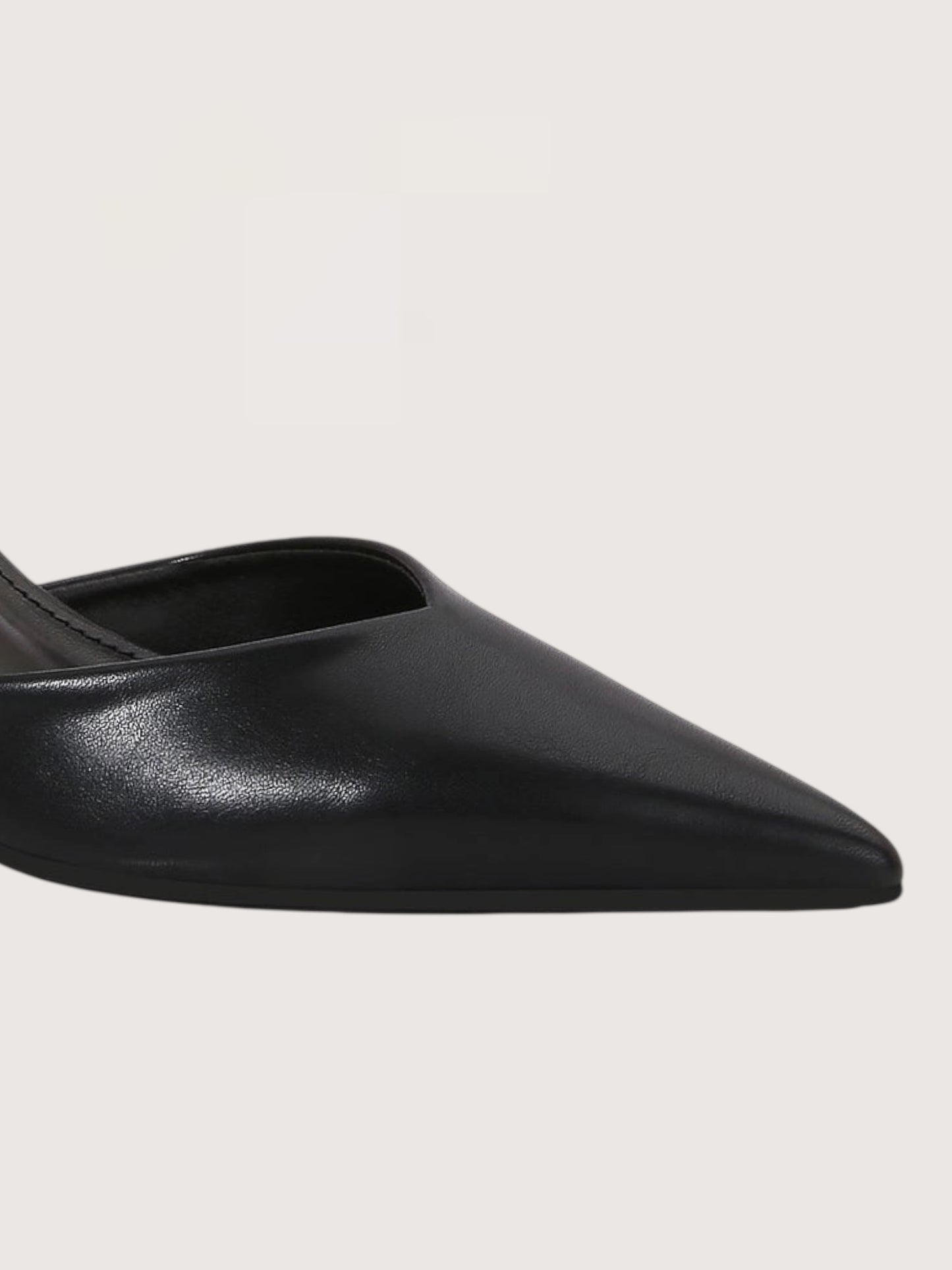 Pointed Toe Slingback