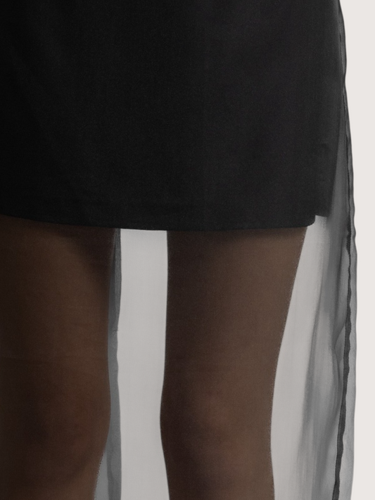 Sheer Organza Skirt