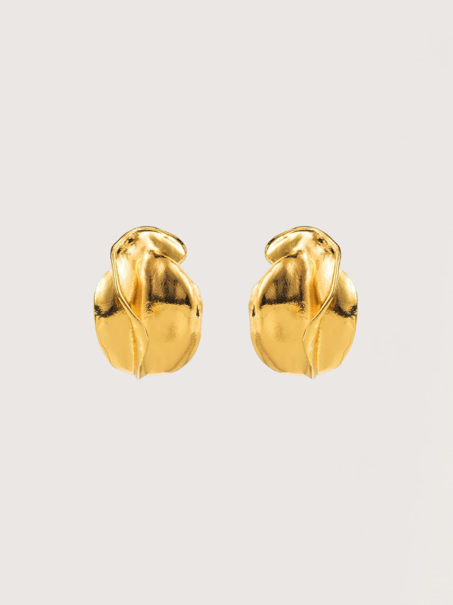 Irregular Shape Earring