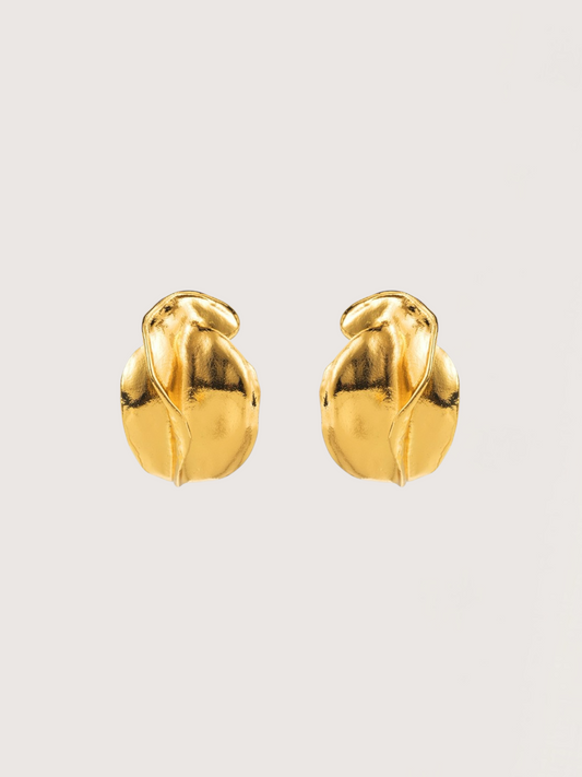 Irregular Shape Earring