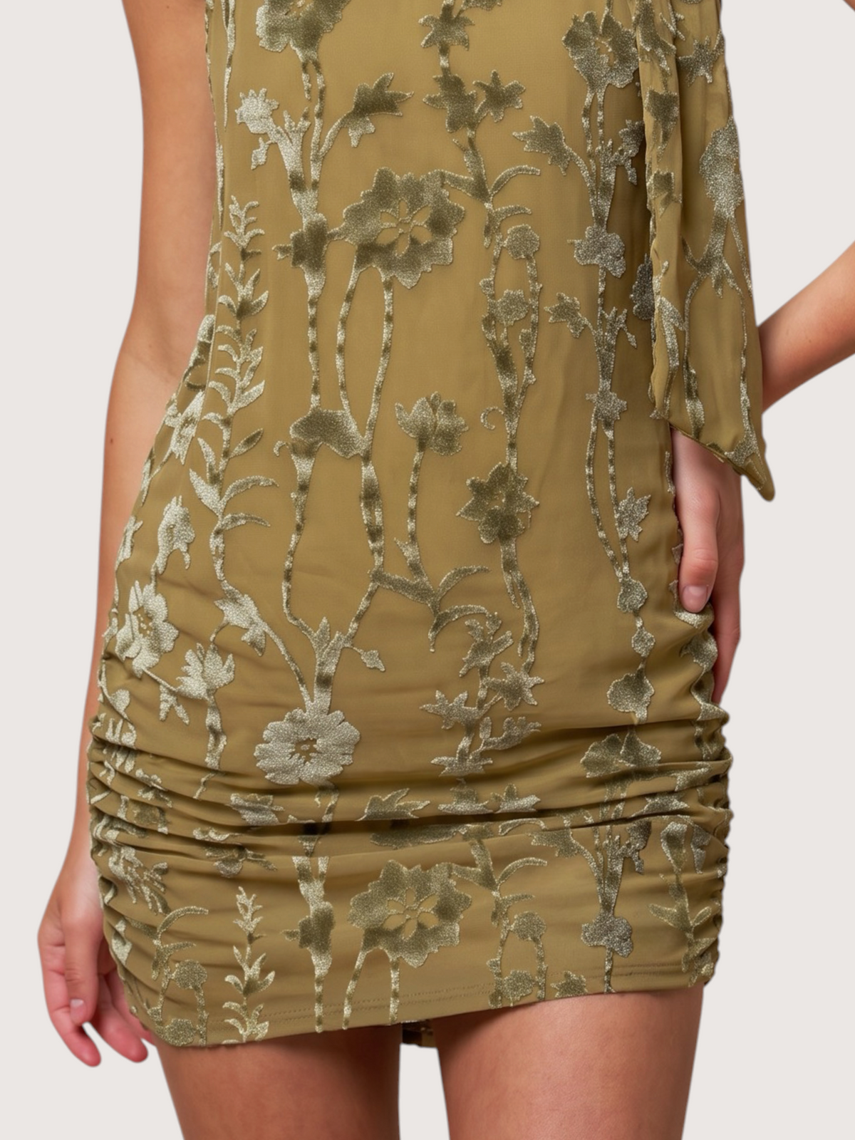 Velvet Burn Out Mini Dress